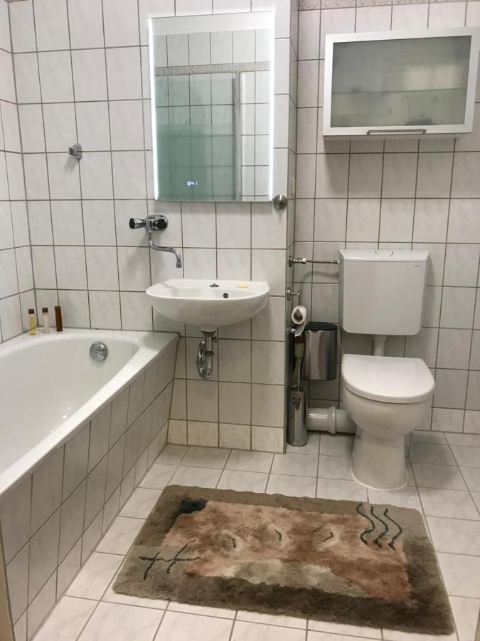 Zentrumsnahe Leipzig-Apartments, Nahe Ufz Und Bmw Inkl Parkplatz Und Fahrraeder المظهر الخارجي الصورة