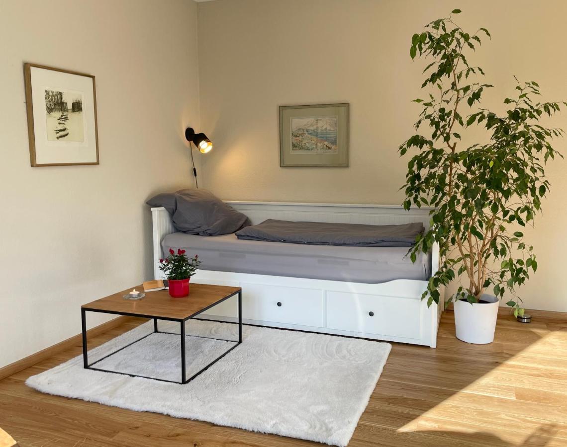 Zentrumsnahe Leipzig-Apartments, Nahe Ufz Und Bmw Inkl Parkplatz Und Fahrraeder المظهر الخارجي الصورة